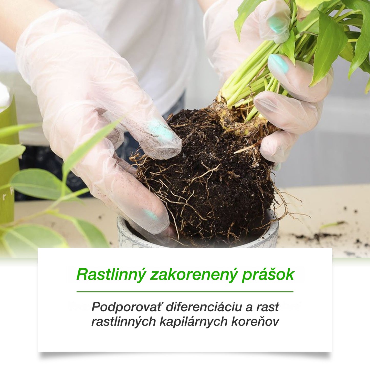 🌱🌳[50% OFF] Aktivátor živin do půdy pro rostliny, podporuje růst kořenů a vývoj sazenic rostlin a květin