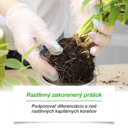🌱🌳[50% OFF] Aktivátor živin do půdy pro rostliny, podporuje růst kořenů a vývoj sazenic rostlin a květin