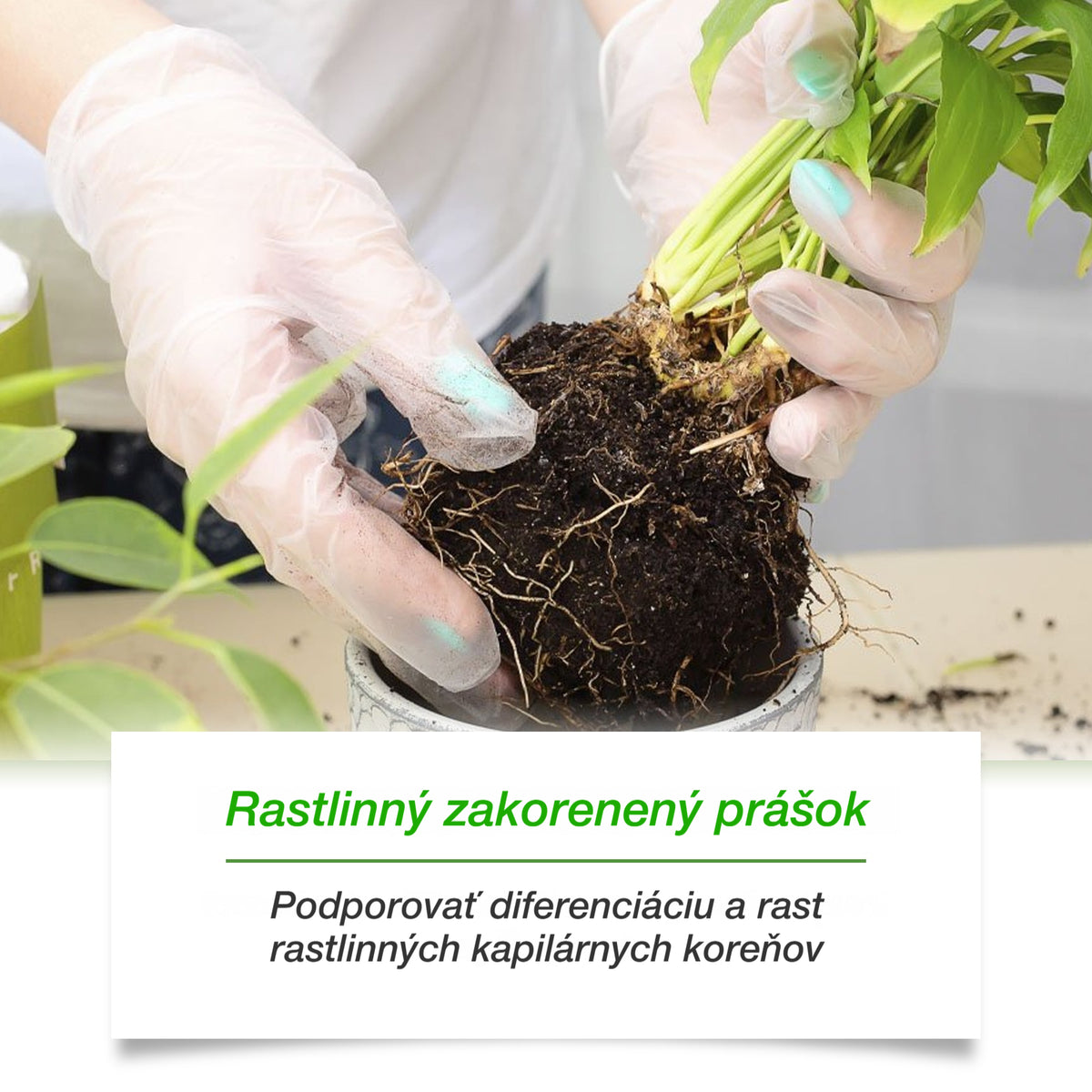 🌱🌳[50% OFF] Aktivátor živin do půdy pro rostliny, podporuje růst kořenů a vývoj sazenic rostlin a květin