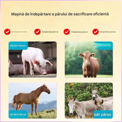 【Kupte 1 a získejte 1 zdarma】🐖🐂🐏Nerezový nůž na odstraňování chloupků pro prasata, skot a ovce