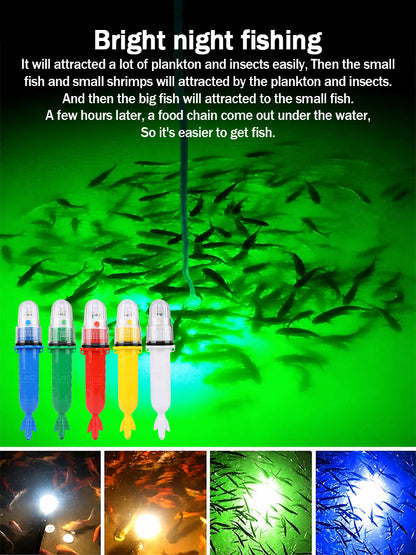 🚨🐟LED světlo na přitahování ryb 3V podvodní světlo na přitahování ryb, speciální signální světlo