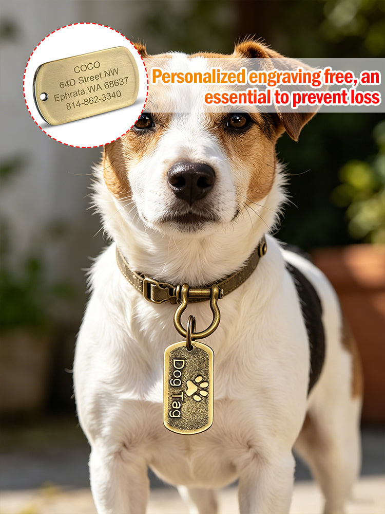 🐶Oblíbené známky pro domácí mazlíčky, jména pro psy, identifikační štítky a klíčenky.