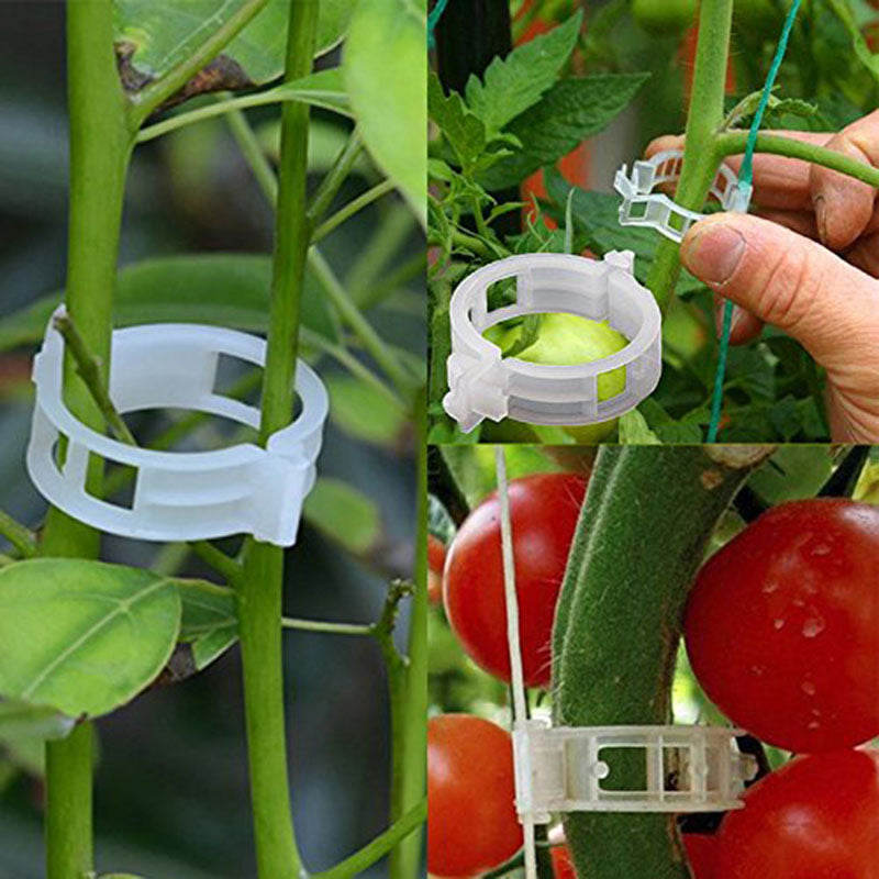 🍅🍅【 200 kusů】🌱Upevňovací klip pro pěstování sazenic, plastové svorky na rostliny, ideální pro vázání a zavěšování rostlin_