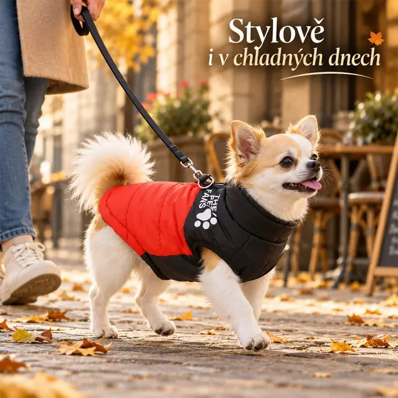 🐶🐱Podzimní a zimní oblečení pro domácí mazlíčky: bundy na vodítko pro venkovní použití, snadno se oblékají a svlékají pomocí zipu, teplé a nepromokavé.