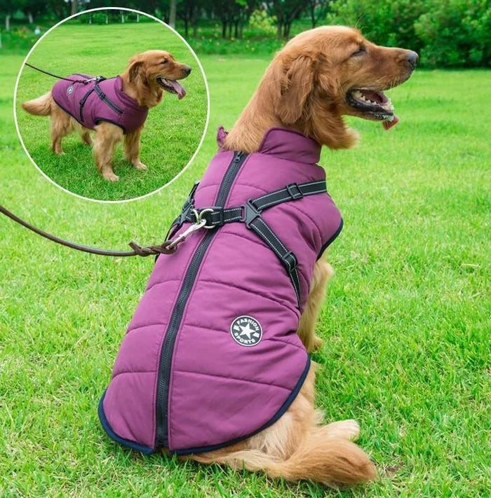 🐕‍🦺🐾Háziállat ruházat