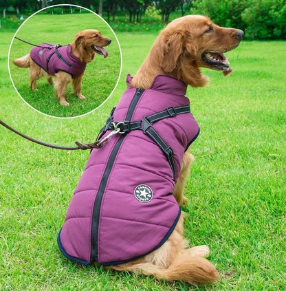 🐕‍🦺🐾Háziállat ruházat