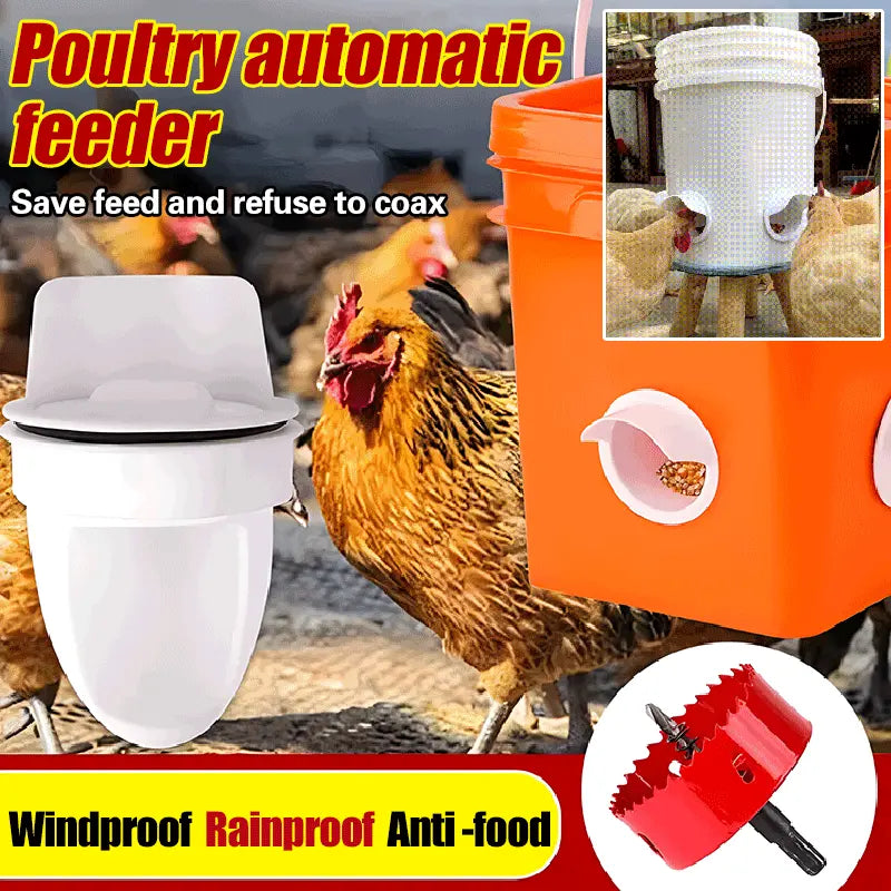 🐓【Děrovač + krmítko】Automatické krmítko pro kuřata, kachny a husy