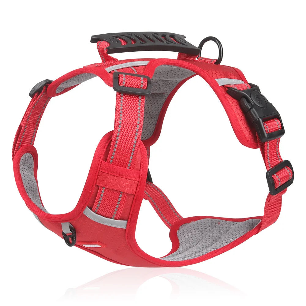 🐶【5–30 kg】Postroj pro domácí mazlíčky bez tahání