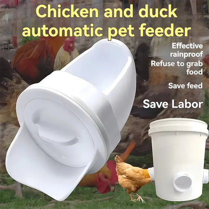 🐓【Děrovač + krmítko】Automatické krmítko pro kuřata, kachny a husy