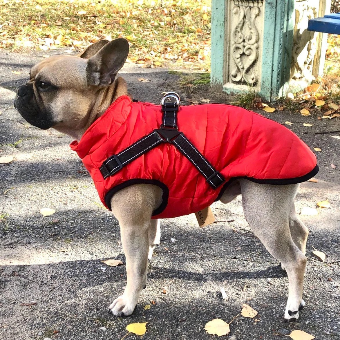 🐕‍🦺🐾Háziállat ruházat
