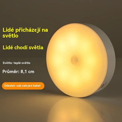 🏡【Kupte 1 a dostanete 1 zdarma】💡Inteligentní LED lampa s indukcí lidského těla, pohodlné a praktické nabíjení