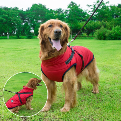 🐕‍🦺🐾Háziállat ruházat