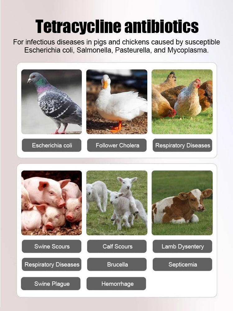 Tablety oxytetracyklinu jsou vhodné pro kuřata, kachny, husy, prasata, ovce, ptáky a psy a mají antibakteriální účinky při průjmu. Účinkují do 2 hodin.