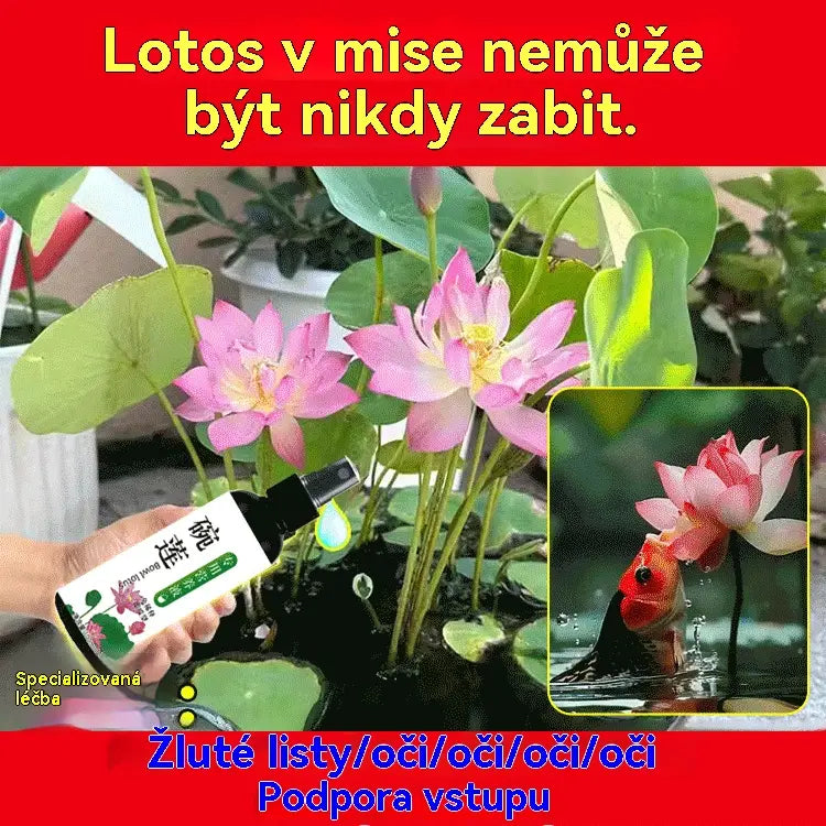 🔥【Kupte 3 a získejte 3 zdarma】🌺 Hnojivý roztok pro rostliny, speciální hnojivý roztok pro lekníny
