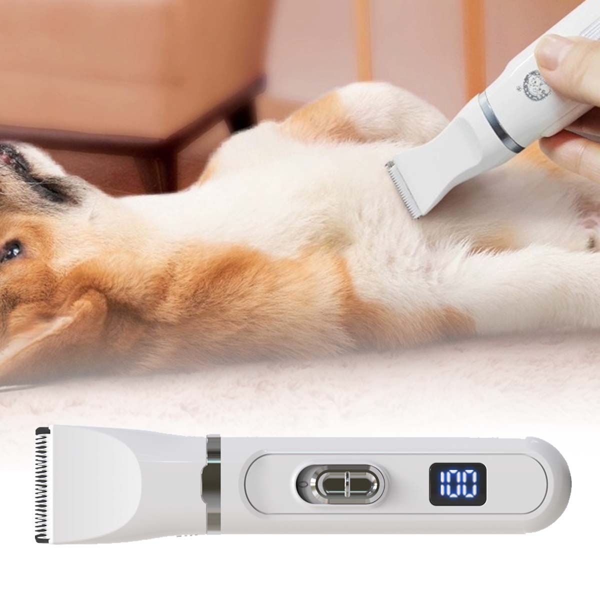 🐕😺 Mini elektrický strojek na stříhání koček a psů, 4 v 1 + kleštičky na drápky