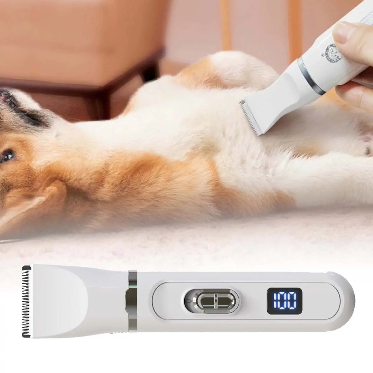 🐕😺 Mini elektrický strojek na stříhání koček a psů, 4 v 1 + kleštičky na drápky