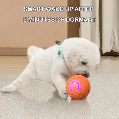 🎁【2KS】Interaktivní míček Smart Pet Bounce🐶