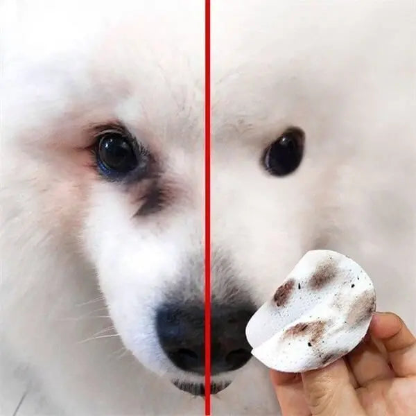 🐕🐈Čisticí ubrousky na skvrny od očí domácích mazlíčků 🔥Odstraňuje skvrny od slz🔥