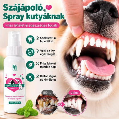 🐶🐱【Kupte 1, získejte 1 zdarma】Sprej na čištění zvířecích chlupů a zubů
