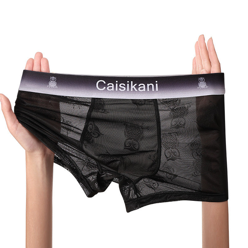 🎁【Balení 5 kusů】【L-4XL】Pánské průsvitné síťované spodní prádlo – sexy, prodyšné a transparentní