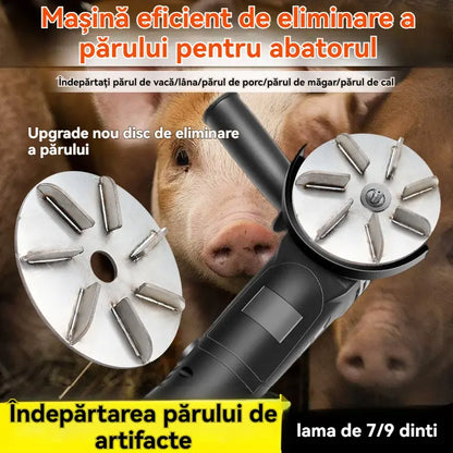 【Kupte 1 a získejte 1 zdarma】🐖🐂🐏Nerezový nůž na odstraňování chloupků pro prasata, skot a ovce