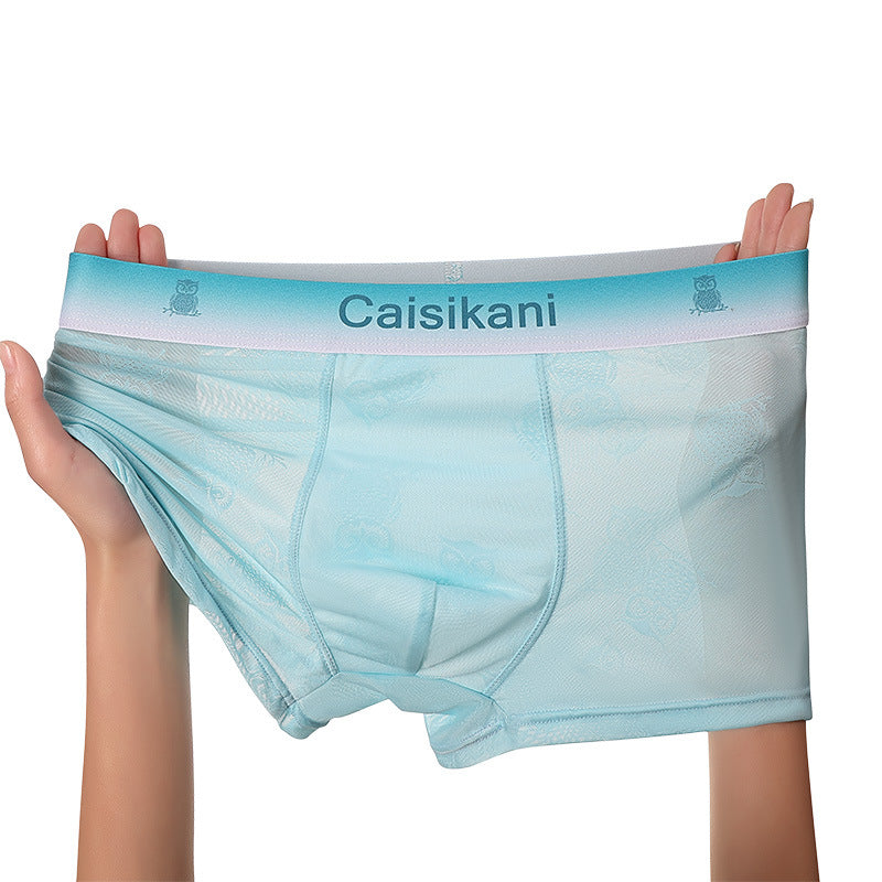 🎁【Balení 5 kusů】【L-4XL】Pánské průsvitné síťované spodní prádlo – sexy, prodyšné a transparentní