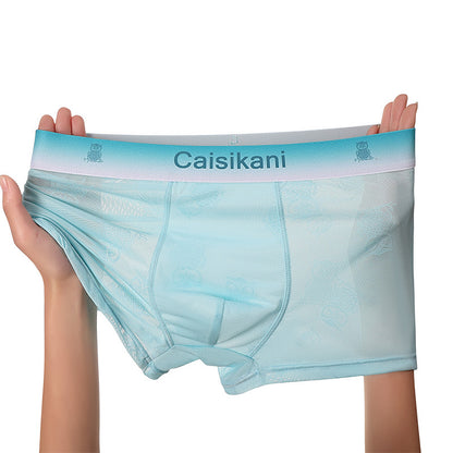 🎁【Balení 5 kusů】【L-4XL】Pánské průsvitné síťované spodní prádlo – sexy, prodyšné a transparentní